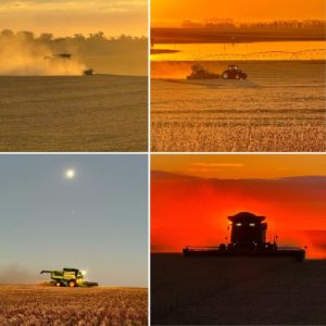 Lee más sobre el artículo Conflicto en Medio Oriente y tensiones geopolíticas impulsan el precio de los commodities agrícolas