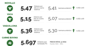 Lee más sobre el artículo Firmeza en los valores y fuerte impulso de la faena de corral