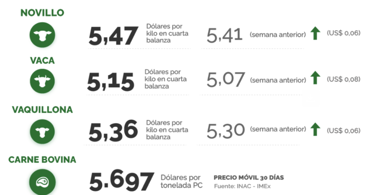 Lee más sobre el artículo Firmeza en los valores y fuerte impulso de la faena de corral