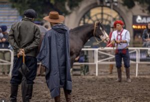 Lee más sobre el artículo Montevideo: Capital «Criollista»