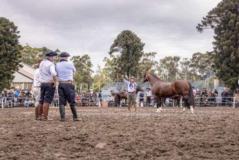 Lee más sobre el artículo La Región de a Caballo: Fiesta y Competencias en la FICCC