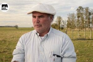 Lee más sobre el artículo El Angus de la región se prepara para el Mundial 2027 en Brasil