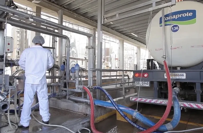 Lee más sobre el artículo Zafra histórica: la remisión de leche a Conaprole se dispara un 15,5% interanual en mayo