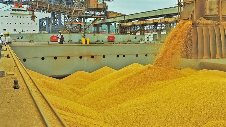Lee más sobre el artículo Asegurar márgenes: Utilizar las herramientas de futuros para fijar precios y mitigar el riesgo de bajas estacionales