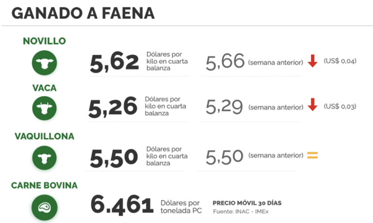 Lee más sobre el artículo Demanda firme en ovinos y leves ajustes de valores en vacunos