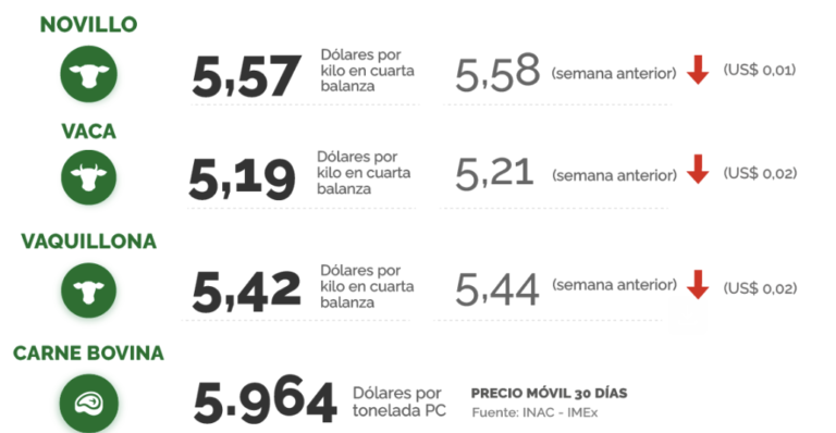 Lee más sobre el artículo Mercado: Oferta reducida en vacunos y firmeza en ovinos