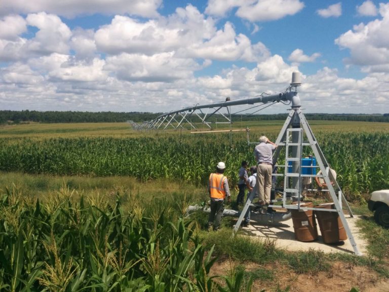 Lee más sobre el artículo Riego: «alta» demanda hídrica, «buena» productividad y agenda energética