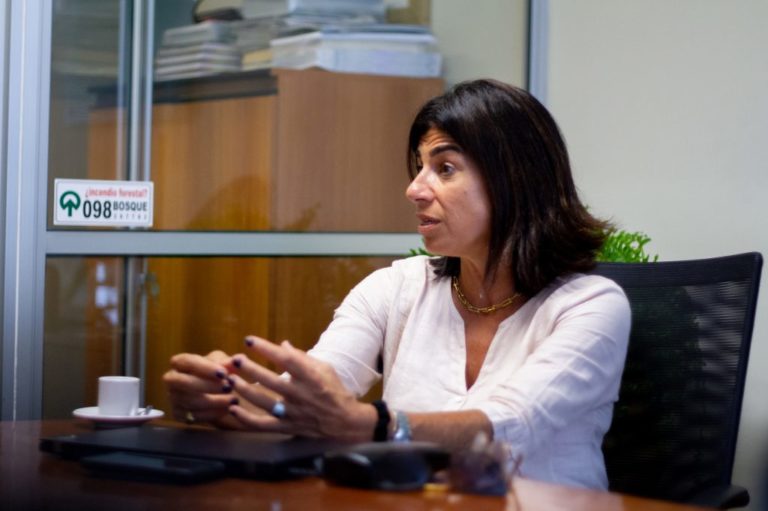 Lee más sobre el artículo Sector forestal proyecta elevados volúmenes de exportación pero con alarmas por caída de precios y trabas ambientales
