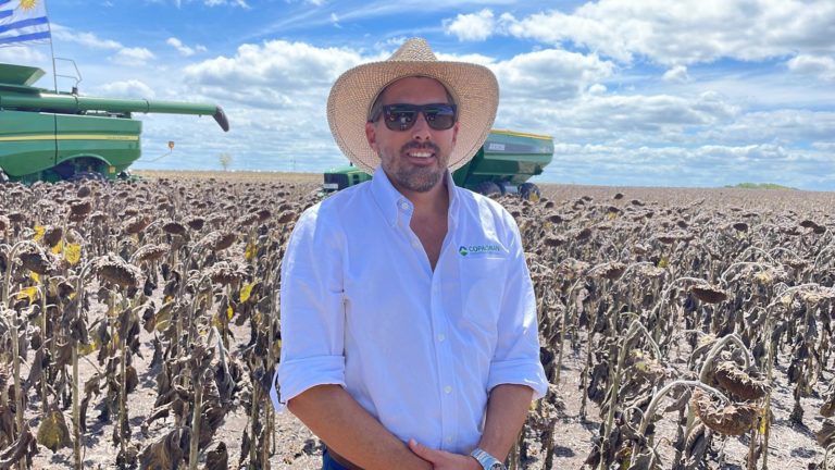 Lee más sobre el artículo El sector agrícola busca un nuevo equilibrio entre el avance de la cosecha local y la volatilidad de los mercados globales