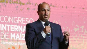 Lee más sobre el artículo Proyectan expansión del área de maíz por fuerte demanda de los sectores ganadero, lechero, granjero y de biocombustibles