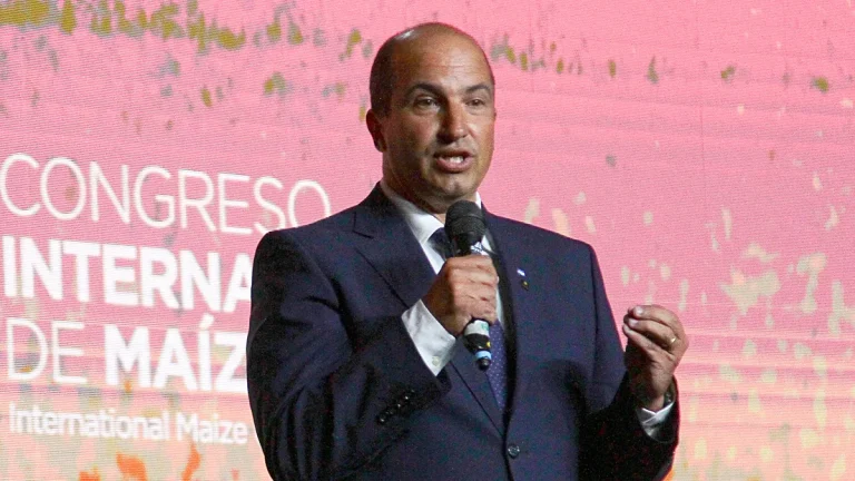 Lee más sobre el artículo Proyectan expansión del área de maíz por fuerte demanda de los sectores ganadero, lechero, granjero y de biocombustibles