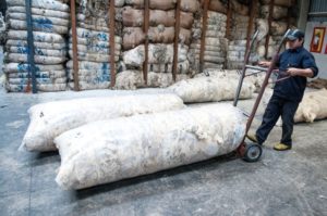 Lee más sobre el artículo Un ovino por hectárea: el ambicioso desafío de la ganadería