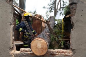 Lee más sobre el artículo Avanzan las tareas de asistencia y recomposición de servicios tras el temporal
