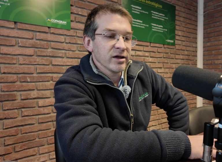 Lee más sobre el artículo Estrategias clave para la sanidad de oleaginosas en Young y Carmelo