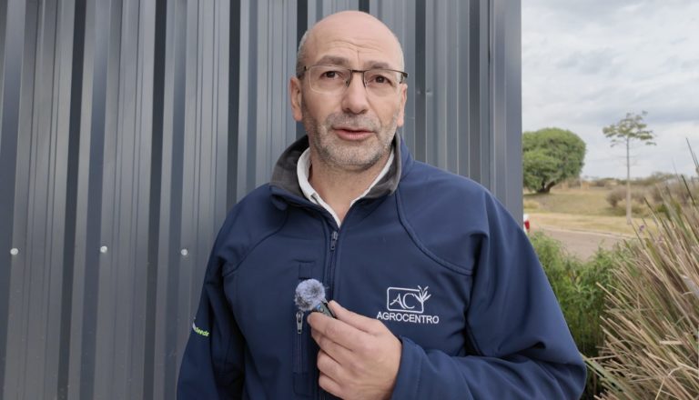 Lee más sobre el artículo El potencial en la zona de Mercedes