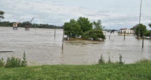 Lee más sobre el artículo Las lluvias históricas en el sur de Brasil golpean a la ganadería de Artigas