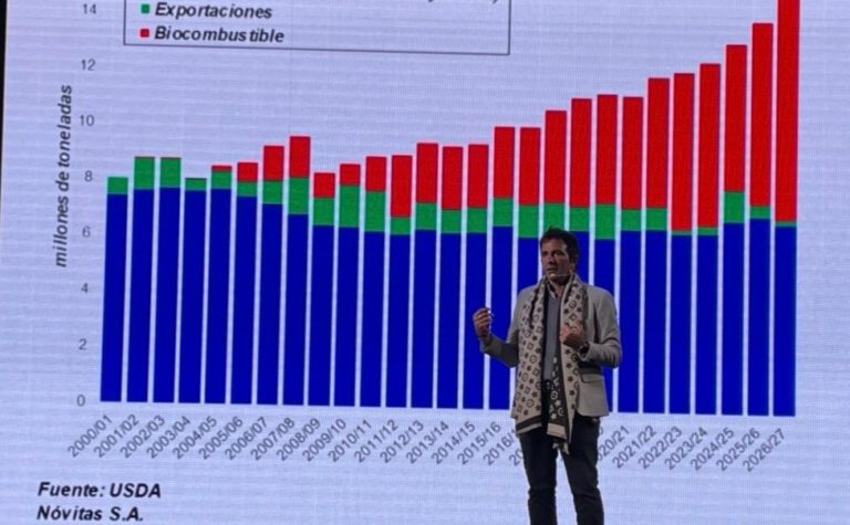 Lee más sobre el artículo Las «fuerzas» que definirán los precios agrícolas