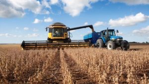 Lee más sobre el artículo La producción de soja cae casi 50%, pero hay una siembra histórica para el invierno 2026