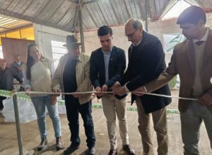 Lee más sobre el artículo Zafra ovina en Artigas: están dadas las condiciones para recuperar el stock