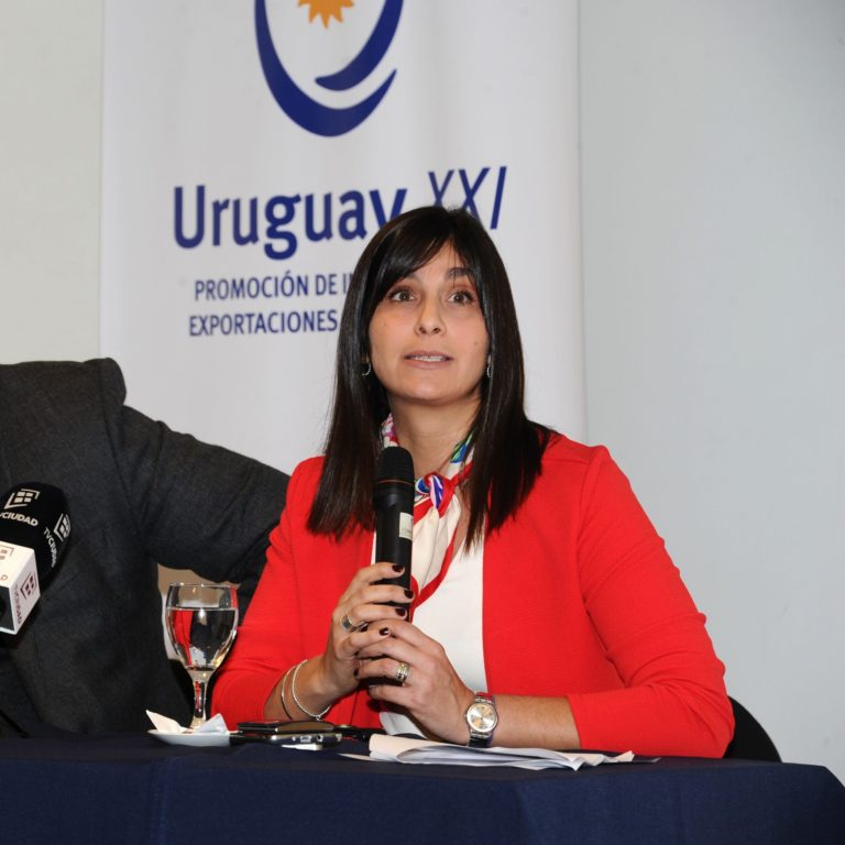 Lee más sobre el artículo Uruguay XXI lanza portal informativo sobre el acuerdo UE-Mercosur