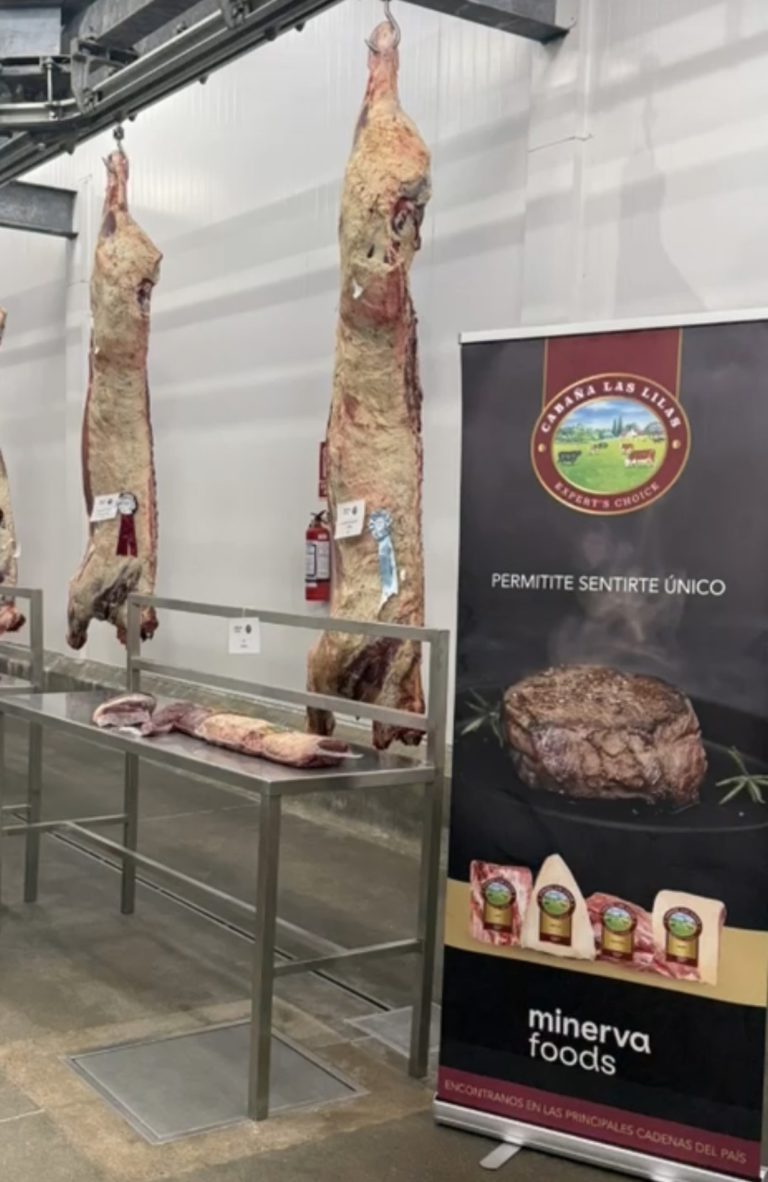 Lee más sobre el artículo El Concurso de Novillos Braford culminó con éxito en la planta de BPU Minerva en Durazno