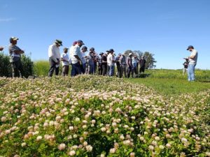 Lee más sobre el artículo AUSID y Fagro presentaron en la EEMAC avances en cultivos de servicios y sustentabilidad agrícola