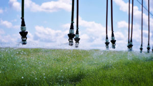 Lee más sobre el artículo El agro aguarda anuncios: definen tarifa energética clave para el riego