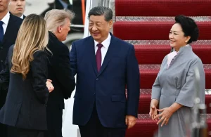 Lee más sobre el artículo Los granos sufren una fuerte caída tras el fracaso de los anuncios comerciales entre EE. UU. y China