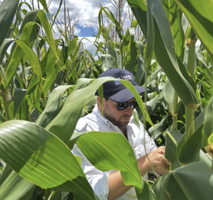 Lee más sobre el artículo Mundo Maíz: Raizar Agro despliega su propuesta técnica para la campaña