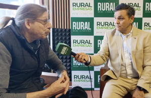 Lee más sobre el artículo Mundo Maíz: el cultivo se encamina a un máximo histórico en área de siembra y perfila una cosecha récord