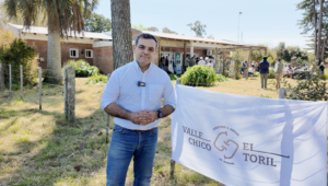 Lee más sobre el artículo La zafra de toros toma impulso en el marco de un año histórico para la ganadería