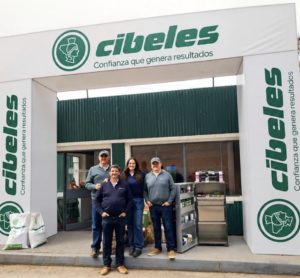 Lee más sobre el artículo Cibeles celebra medio siglo de trayectoria con soluciones integrales para la producción