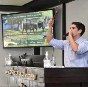 Lee más sobre el artículo Plaza Rural con singular firmeza y sello Hereford