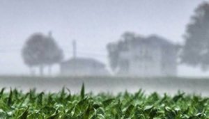 Lee más sobre el artículo Llega»El Niño» y tiene su impacto en el último trimestre del año