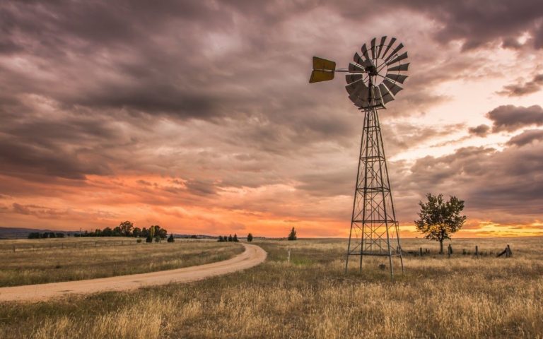 Lee más sobre el artículo Plaza Rural: se dispersaron 8.500 vacunos de perfil Hereford en un mercado sostenido por una potente demanda