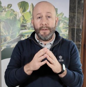 Lee más sobre el artículo Mundo Maíz: cómo seleccionar el híbrido adecuado en la nueva campaña
