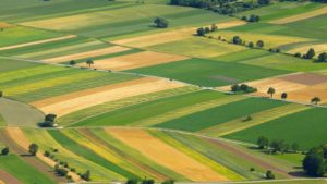 Lee más sobre el artículo En el Día Mundial del Fertilizante: Raizar Agro destaca la nutrición sólida para maximizar el potencial de los cultivos