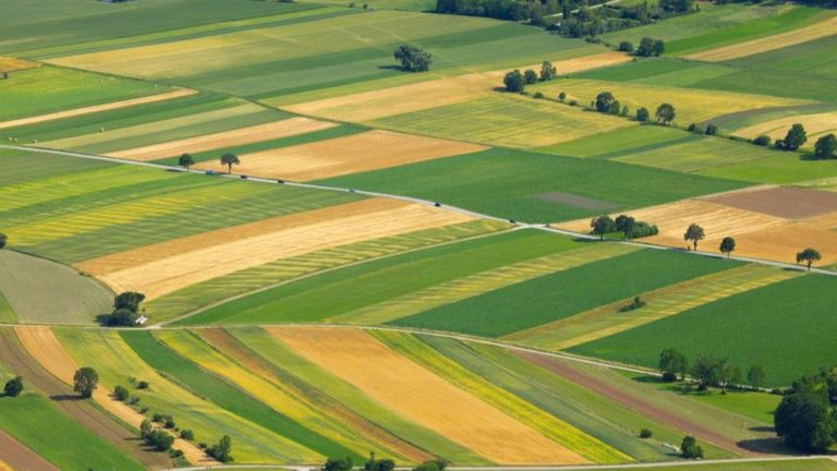 Lee más sobre el artículo En el Día Mundial del Fertilizante: Raizar Agro destaca la nutrición sólida para maximizar el potencial de los cultivos