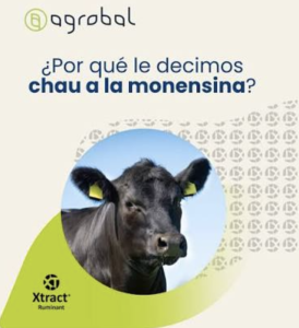 Lee más sobre el artículo Agrobal impulsa Xtract Ruminant como el sustituto natural de la monensina para potenciar la eficiencia ganadera