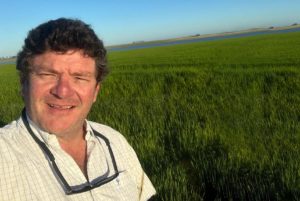 Lee más sobre el artículo El arroz en recuperación: El Niño impulsa los precios internacionales mientras la siembra local espera por el sol