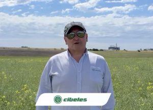 Lee más sobre el artículo Cibeles Agro: monitoreo constante y protección integral desde la semilla