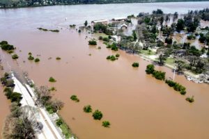 Lee más sobre el artículo El Niño provoca crecidas en los ríos Uruguay y Paraná y obliga a evacuar ganado a zonas altas
