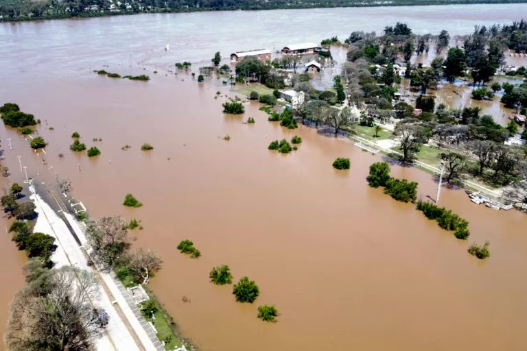 Lee más sobre el artículo El Niño provoca crecidas en los ríos Uruguay y Paraná y obliga a evacuar ganado a zonas altas