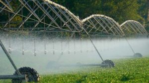 Lee más sobre el artículo El establecimiento «La Favorita»: el escenario de campo de la 27.ª Jornada Anual de AUSID